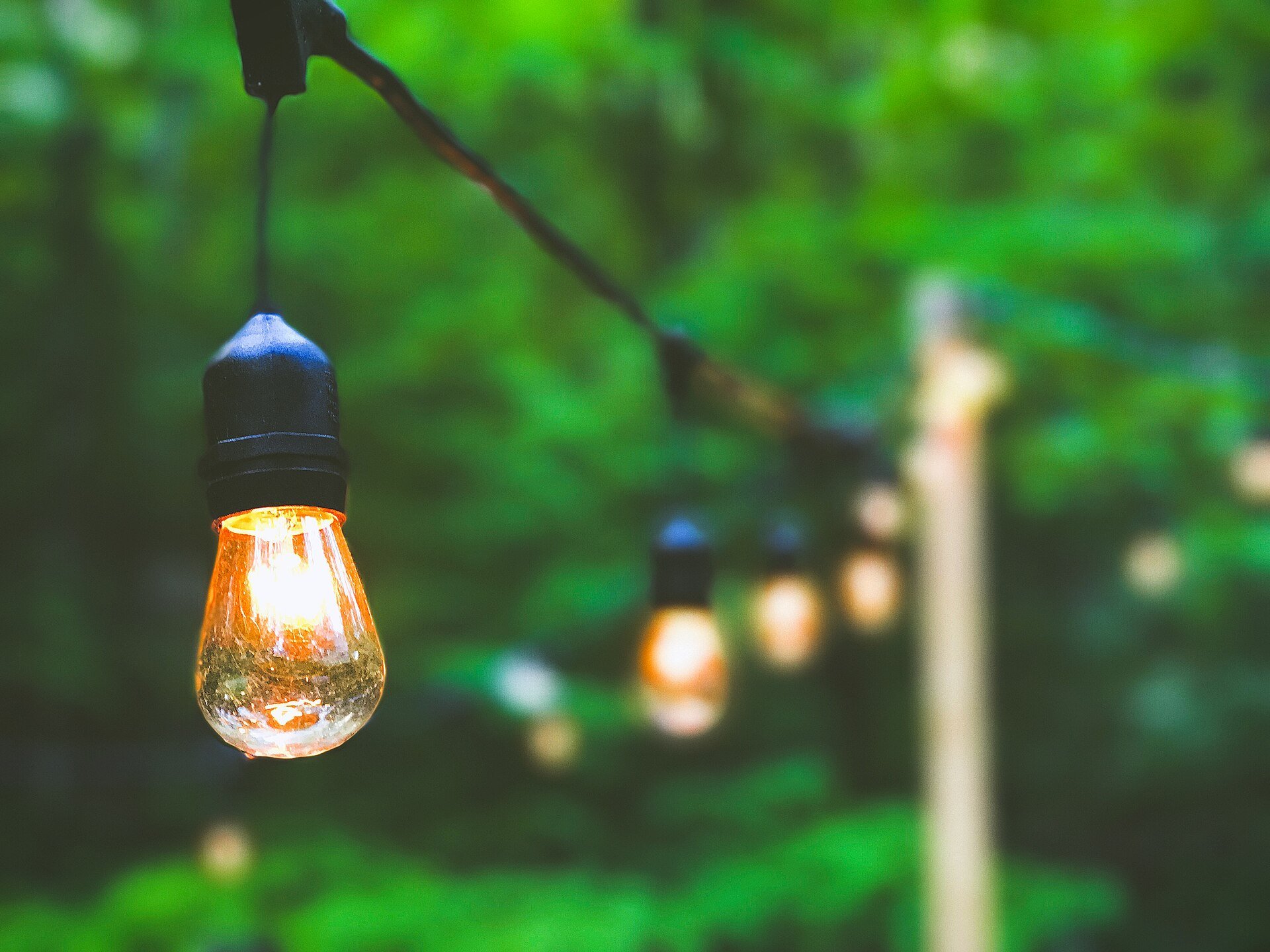A lit string-light bulb hanging in front of green foliage, more bulbs blurred behind.