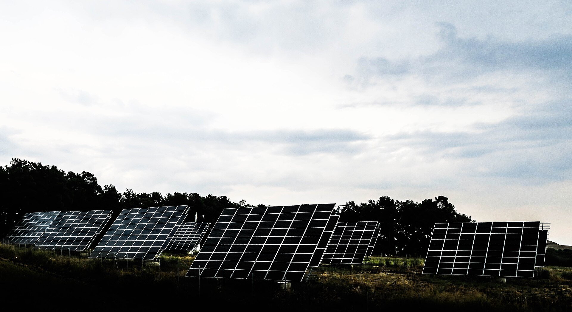 Rows of ground-mounted solar panels on a field, with trees and a cloudy sky behind.